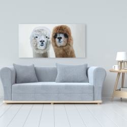 Canvas 24 x 48 - Two lamas