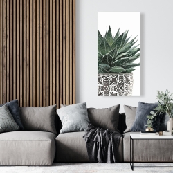 Canvas 24 x 48 - Zebra plant succulent