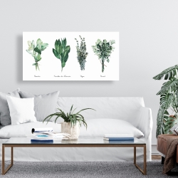 Toile 24 x 48 - Fines herbes