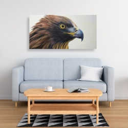 Canvas 24 x 48 - Brown-headed eagle
