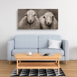 Toile 24 x 48 - Moutons sépia