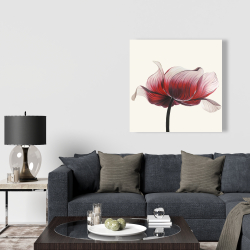 Toile 36 x 36 - Fleur anémone
