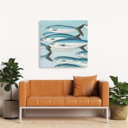 Canvas 36 x 36 - Small fish of caesio caerulaurea