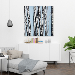 Canvas 36 x 36 - Pastel birches
