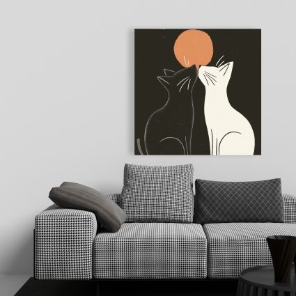 Black and white cats