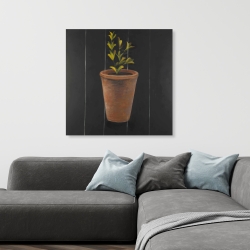 Canvas 36 x 36 - Plant of marjolaine