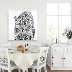 Canvas 36 x 36 - Leopard ready to attack