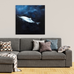 Canvas 36 x 36 - Swimming dolphin