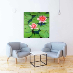 Canvas 36 x 36 - Lotus flowers in a swamp