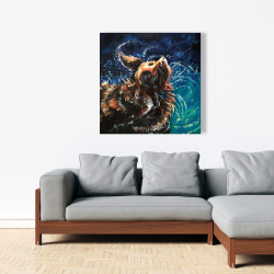 Canvas 36 x 36 - Wet golden retreiver shaking to dry