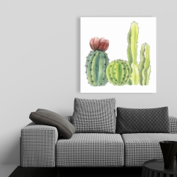 Toile 36 x 36 - Quatre petits cactus