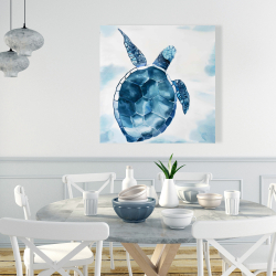 Toile 36 x 36 - Tortue bleu