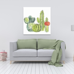 Toile 36 x 36 - Rassemblement de petits cactus