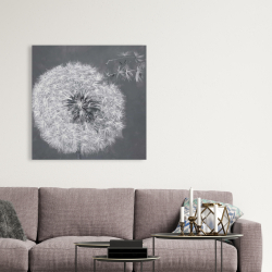 Canvas 36 x 36 - Blowing dandelion