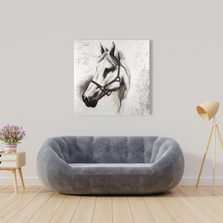Toile 36 x 36 - Flicka le cheval blanc