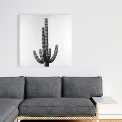 Toile 36 x 36 - Cactus
