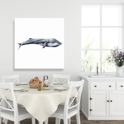 Toile 36 x 36 - Baleine en aquarelle