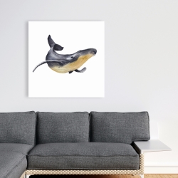 Canvas 36 x 36 - Watercolor blue whale