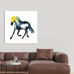 Canvas 36 x 36 - Galloping horse