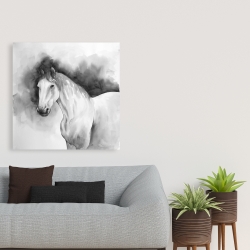 Canvas 36 x 36 - Domino horse