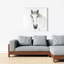 Canvas 36 x 36 - Solitary white horse