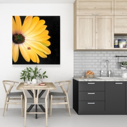 Canvas 36 x 36 - Yellow daisy and ladybug