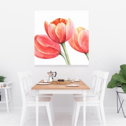 Toile 36 x 36 - Belles tulipes 