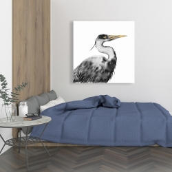 Canvas 36 x 36 - Great heron