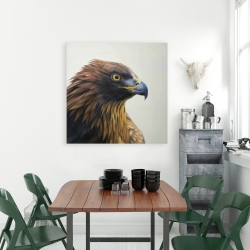 Canvas 36 x 36 - Brown-headed eagle