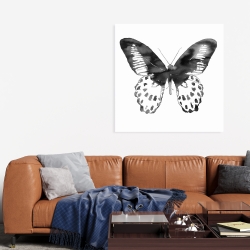 Toile 36 x 36 - Papillon noir