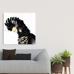 Canvas 36 x 36 - Cockatoo parrot