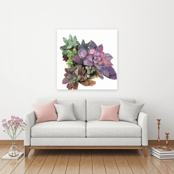 Canvas 36 x 36 - Succulent plant