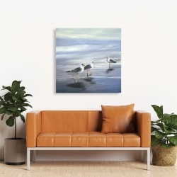 Canvas 36 x 36 - Three gulls