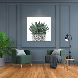 Canvas 36 x 36 - Zebra plant succulent