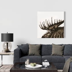 Canvas 36 x 36 - Moose plume sepia