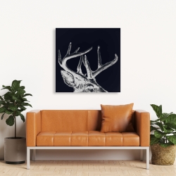 Canvas 36 x 36 - Blue roe deer plume