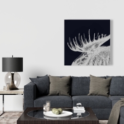 Canvas 36 x 36 - Big moose plume