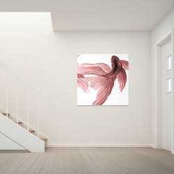 Toile 36 x 36 - Poissons betta rouge