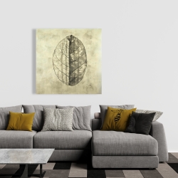 Canvas 36 x 36 - Translucent