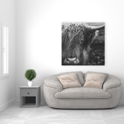 Canvas 36 x 36 - Monochrome portrait highland cow