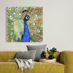 Toile 36 x 36 - Paon
