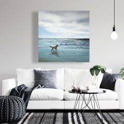 Canvas 36 x 36 - Dog on the beach