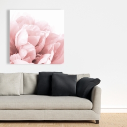 Toile 36 x 36 - Peonie, fleur de rêve