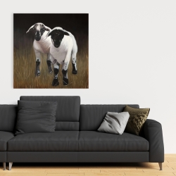 Canvas 36 x 36 - Two lambs