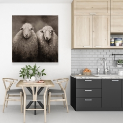 Toile 36 x 36 - Moutons sépia