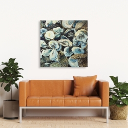 Canvas 36 x 36 - Oyster shells