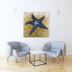 Toile 36 x 36 - Belle étoile de mer