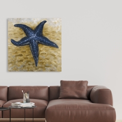 Toile 36 x 36 - étoile de mer bleu