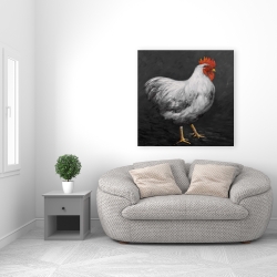 Toile 36 x 36 - Poule grise 2