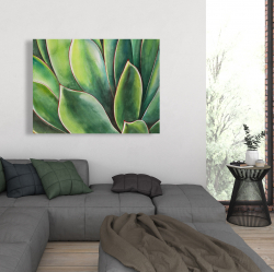 Toile 36 x 48 - Plante d'agave à l'aquarelle